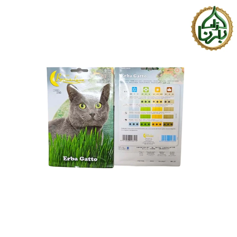 Cat Grass seed