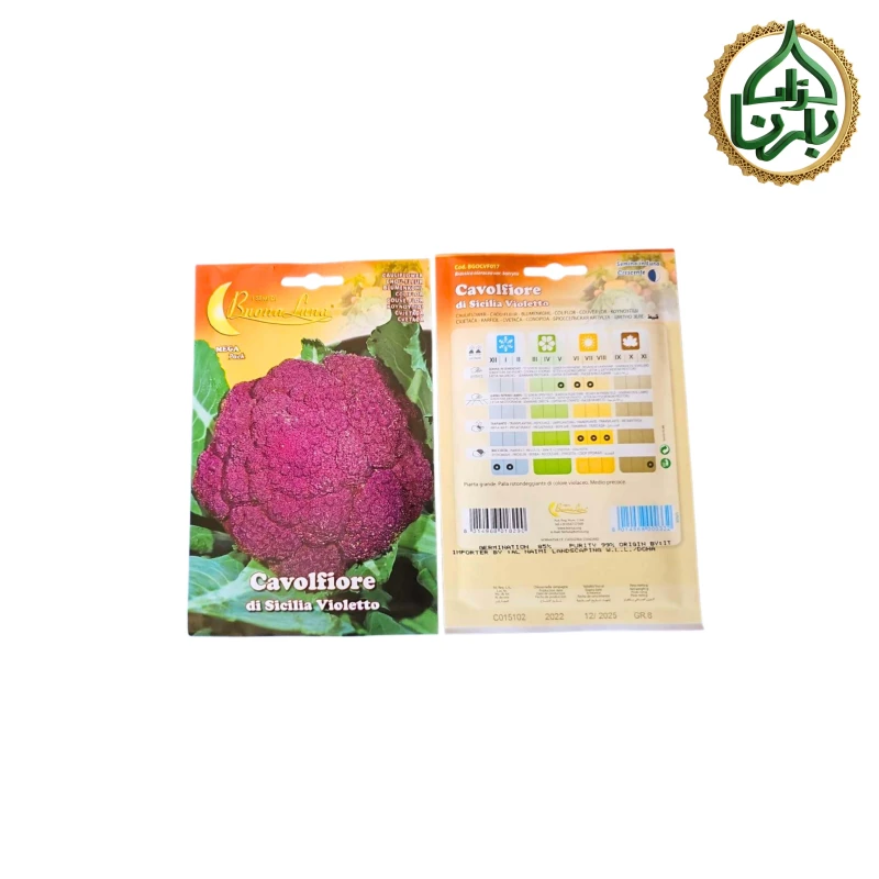 Purple Cauliflower Seed