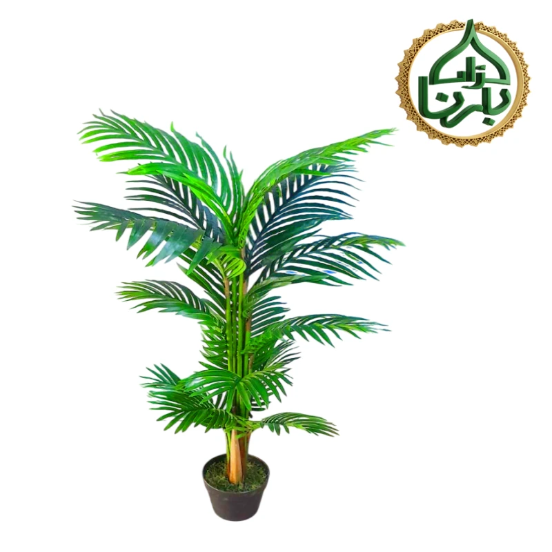 Areca Palm 120 Cm