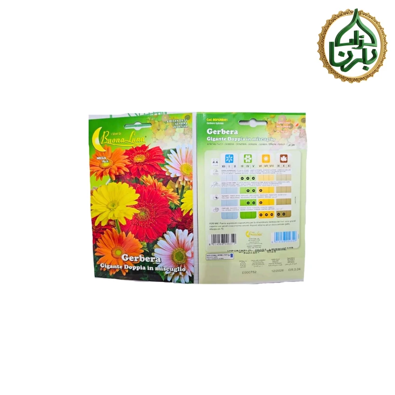 Gerbera Seed