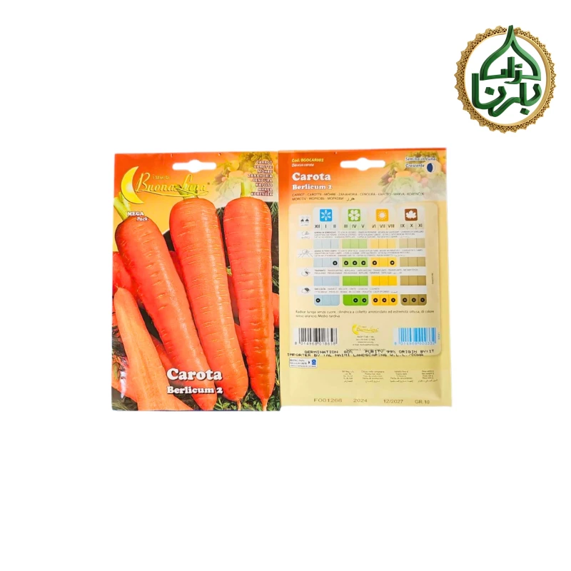 Carrot Seed