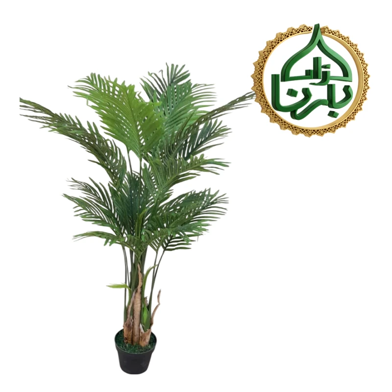 Areca Palm 160 Cm