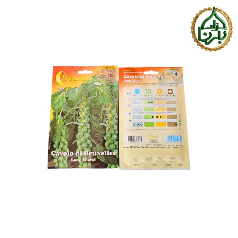 Brussels Sprouts Seed