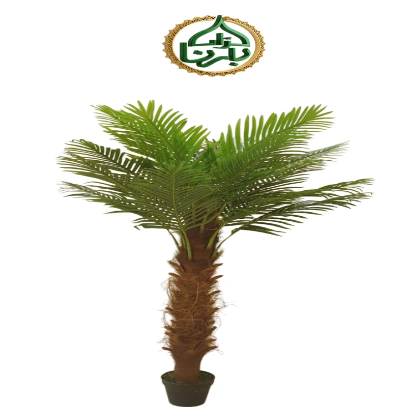 Date Palm 2 Meter