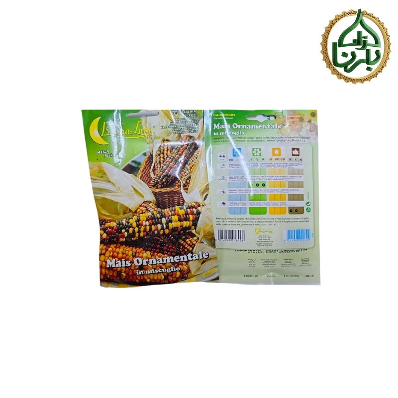 Corn Ornamental Seed