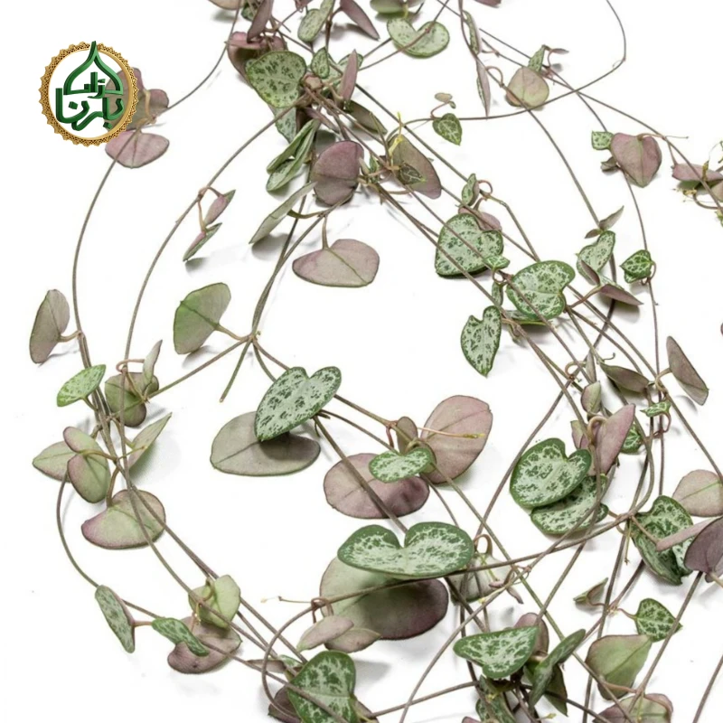 String of Hearts Hanging