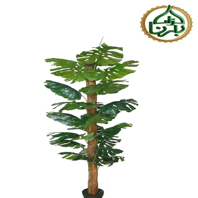 Monsterra Moss Stick 2 Meter