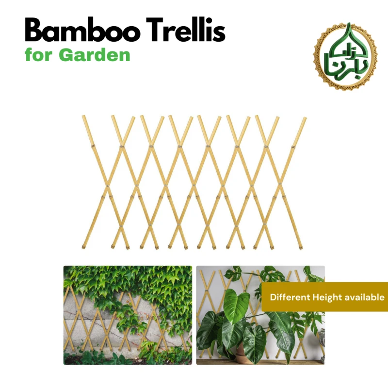 Bamboo Trellis
