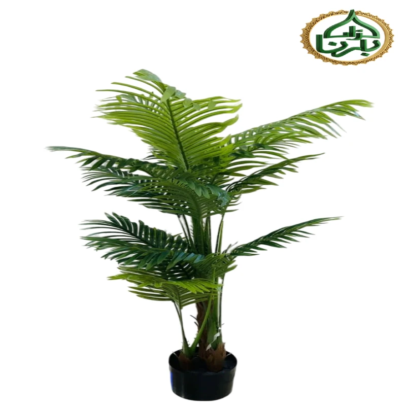 Areca 140 Cm